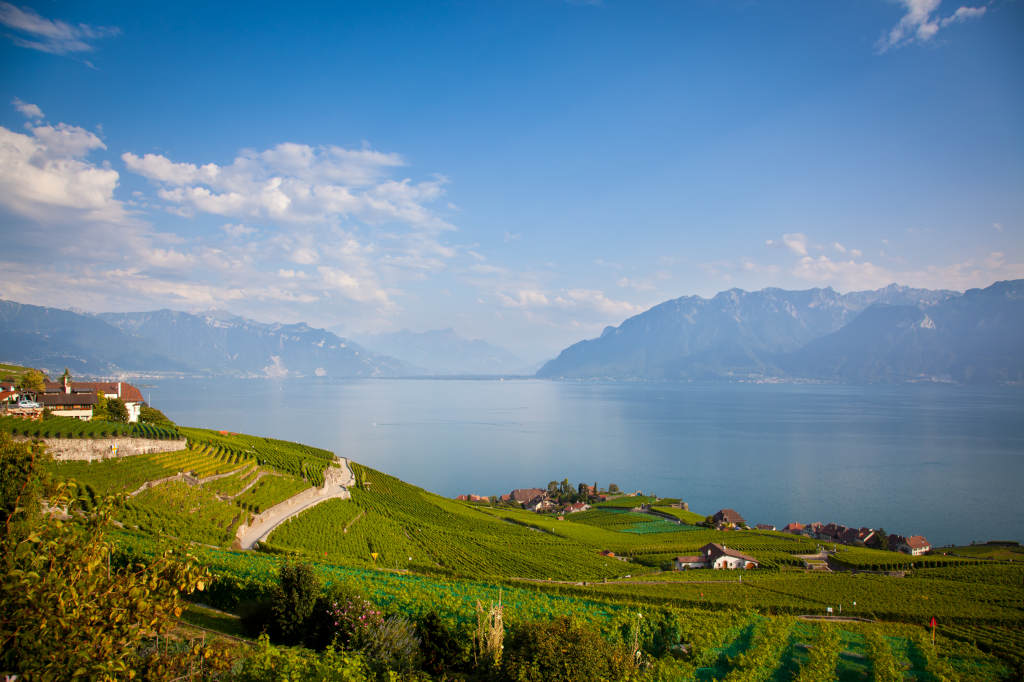 Vignobles autour du lac Léman à Montreux, Suisse.